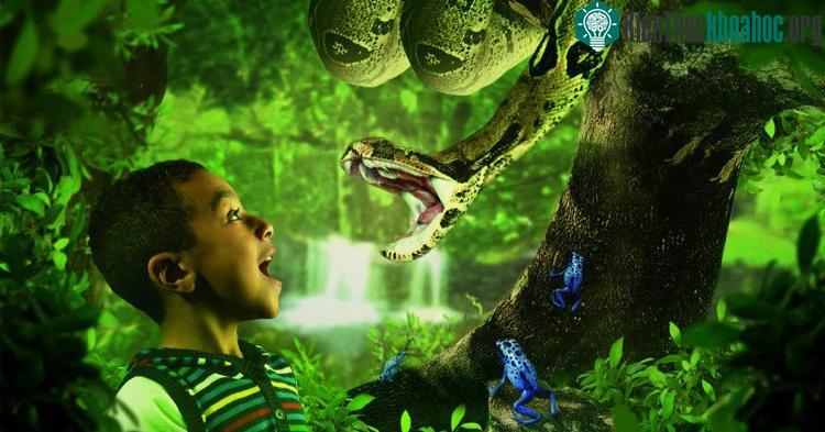 Phản ứng sợ hãi bắt nguồn từ não, sau đó lan ra khắp cơ thể. (Ảnh: BN1 Magazine).
