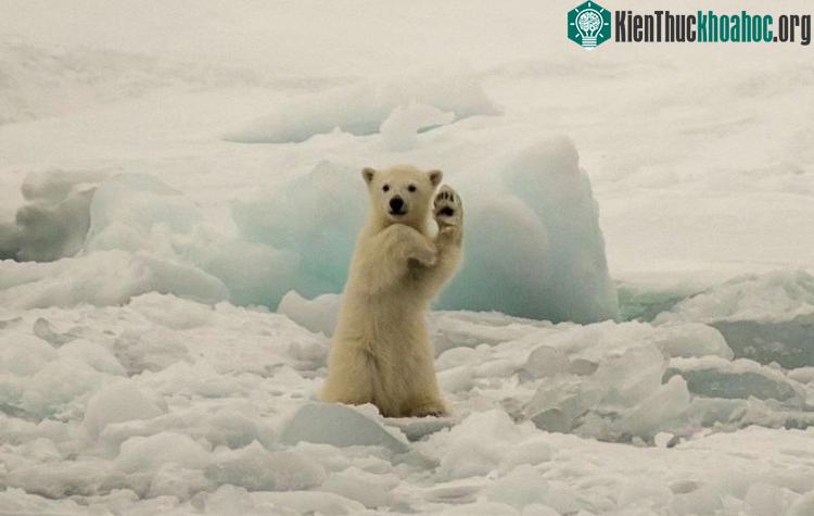 Nồng độ CO 2 tăng lên sẽ đi kèm hệ lụy là nhiệt độ Trái Đất tăng theo. (Ảnh: Gretty).