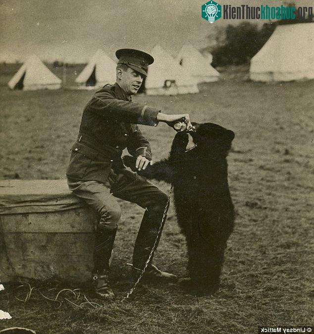 Hary Colebourn bên cạnh