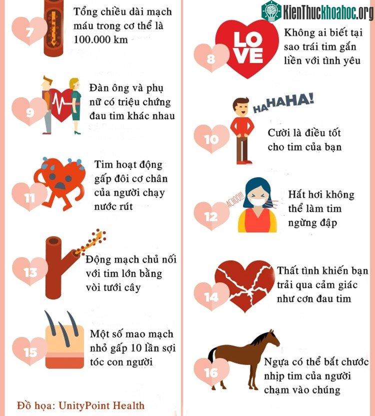 Đàn ông và phụ nữ có triệu chứng tim khác nhau và thất tình khiến bạn trải qua cảm giác như cơn đau tim.