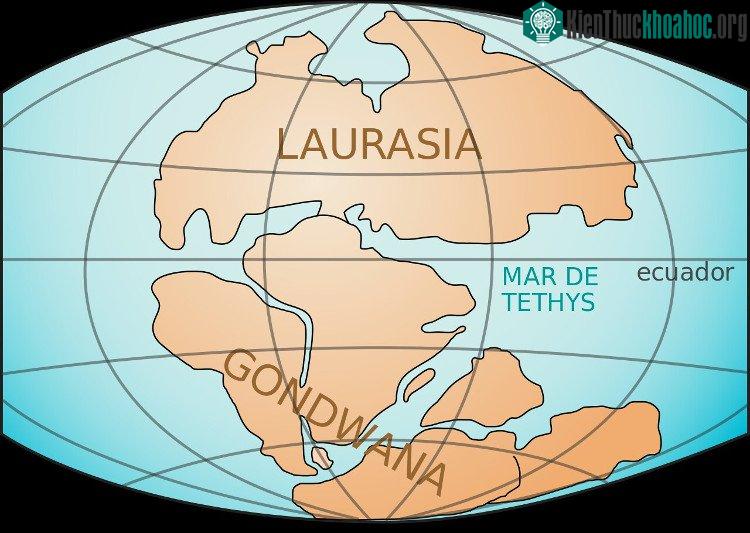 Siêu lục địa Gondwana trên Trái Đất. (Ảnh: Pinterest).