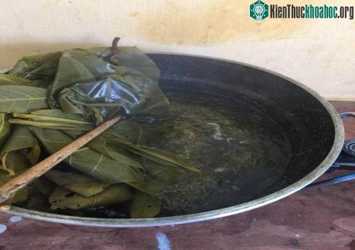 Nấu lá bàng trong nước. (Ảnh: Nhân vật cung cấp).