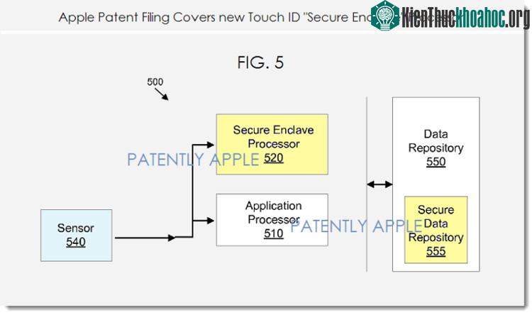 Touch ID chính là chiếc chìa khóa, là con đường duy nhất nối tới SEP để trao đổi và so sánh dữ liệu vân tay.