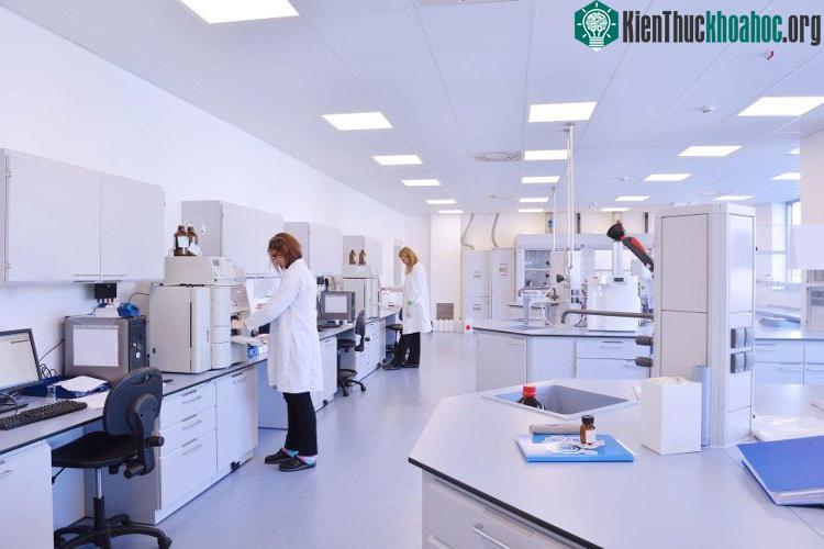 Một ngày nào đó sẽ có một kỹ thuật tương tự để có thể áp dụng và giúp con người trẻ hóa.