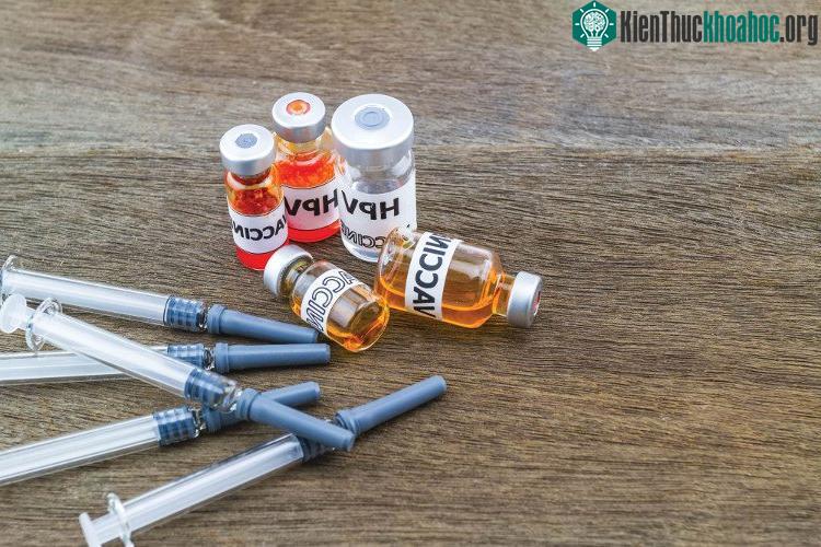 Vắc xin ngừa HPV.