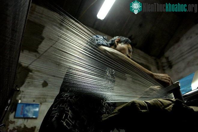 Họ sử dụng đề tài trang trí từ kho tàng nghệ thuật truyền thống của dân tộc