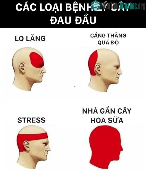 Bệnh lí gây đau đầu