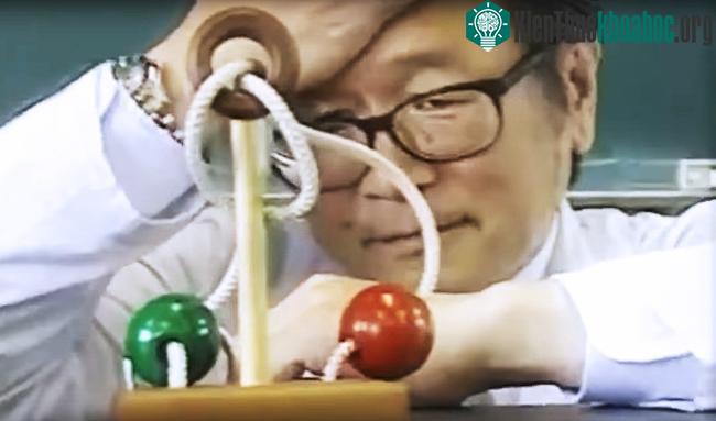 Vị giáo sư chịu thua.
