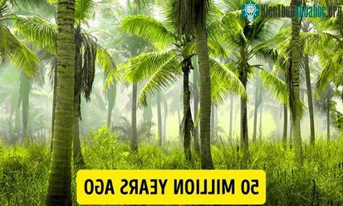 98% diện tích Nam Cực bị bao phủ bởi băng tuyết