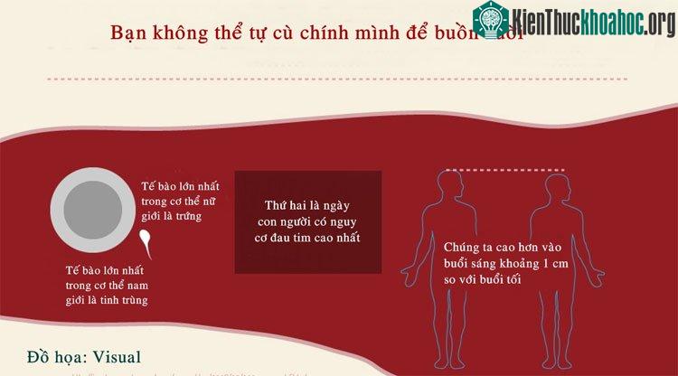 Thứ hai là ngày con người co nguy cơ đau tim cao nhất.