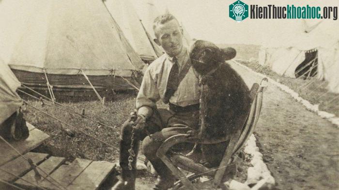 Chàng đại uý và cô gấu Winnie trở nên thân thiết.