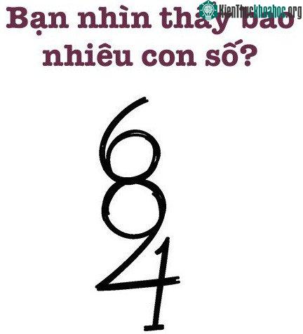 Bạn nhìn thấy bao nhiêu con số trong hình này?