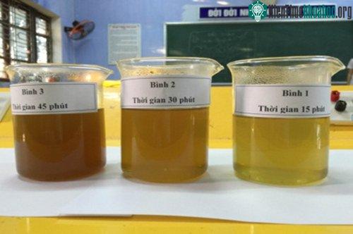 Tinh dầu lá và búp bàng non. (Ảnh: Nhân vật cung cấp).