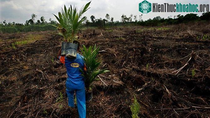 Khí nhà kính giữ nhiệt là nguyên nhân hàng đầu cho hành tinh nóng lên của chúng ta.