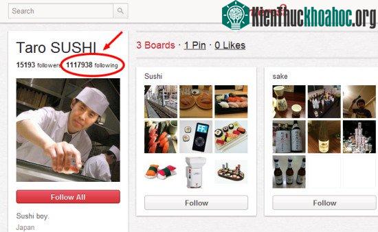 Followers/Following of pinterest