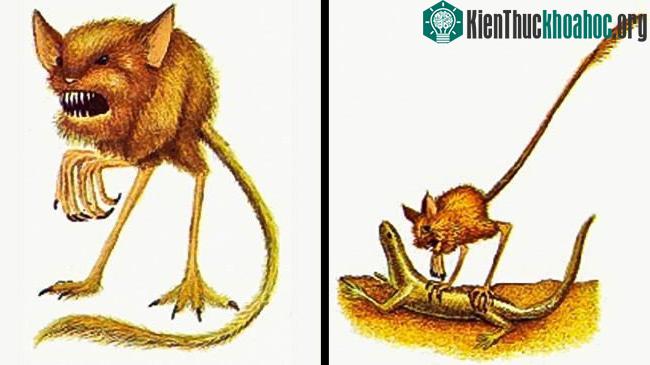 Quỷ nhảy nhót