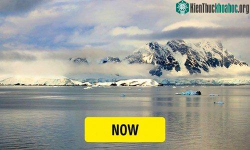 Hơn 50 triệu năm về trước tại Nam Cực đã từng ghi nhận sự tồn tại của những cây cọ và những bãi biển cát trắng nắng vàng