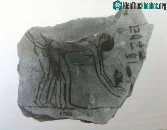 Xã hội Ai Cập cổ đại khinh miệt những người đóng vai "yếu" trong mối quan hệ đồng tính - (ẢNH: raseef22).