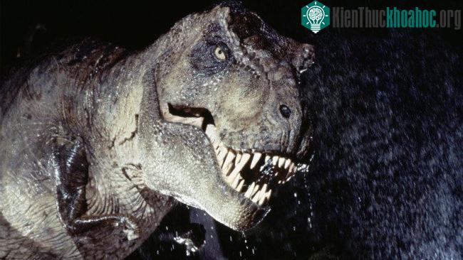 Có lẽ cánh tay ấy có nhiều công dụng hơn với các T-rex non trẻ.