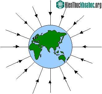 Trường trọng lực (gravity field)