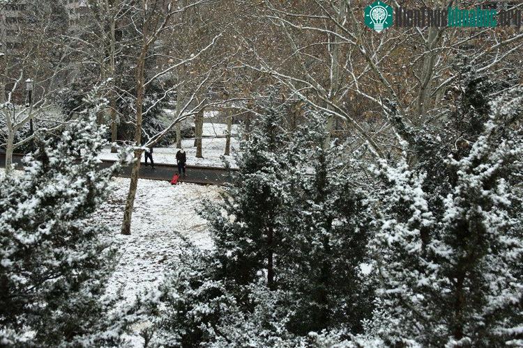 Trong ảnh, một phụ nữ đi dạo cùng chó cưng tại công viên Meridian Hill.
