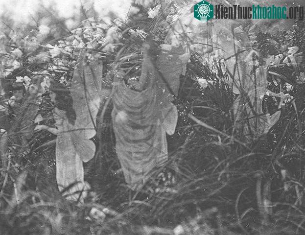 Tiên nữ tắm nắng - bức hình cuối cùng trong series ảnh của nhà Wright.