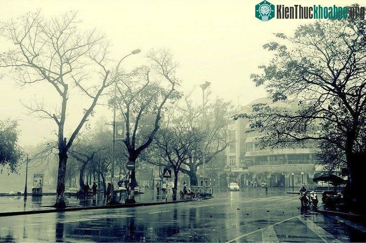 Những cơn gió lạnh đầu mùa cũng rảo bước khắp phố phường như khẽ nhắc: