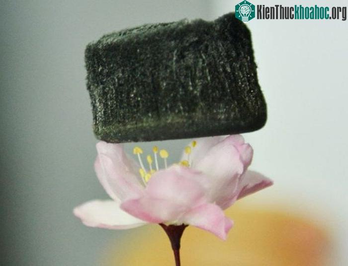 Aerogel nhẹ đến mức có thể đặt trên một bông hoa.