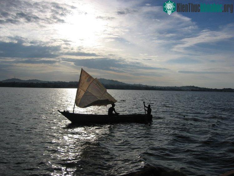 Bơi thuyền giữa hồ.