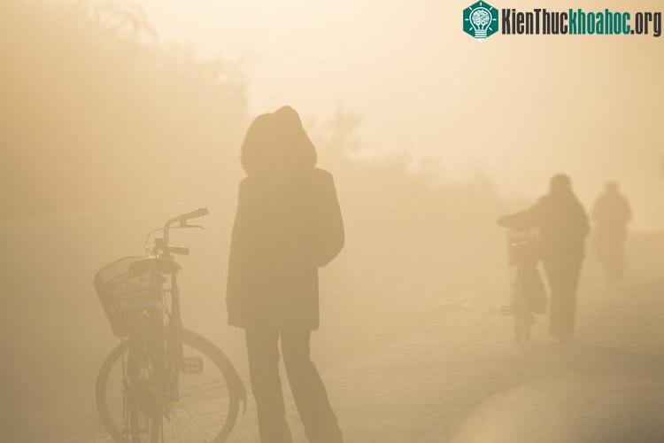 Hình ảnh hiếm về cuộc sống ở miền duyên hải Triều Tiên ảnh 4