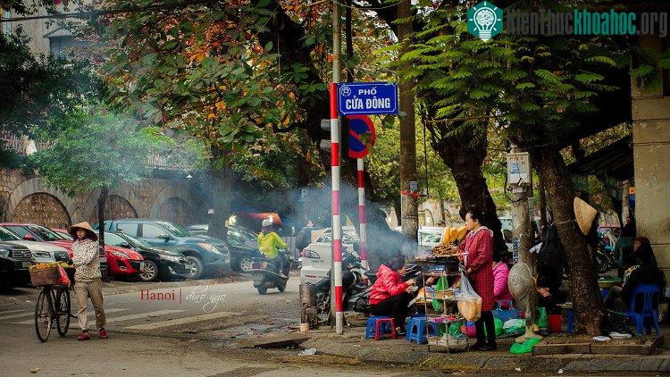 Cứ thế đông về đem sắc lá úa màu phủ lên những hàng cây đang mùa thay áo.