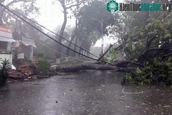 Cảnh đổ nát trên các tuyến đường ở trung tâm thành phố Nha Trang.