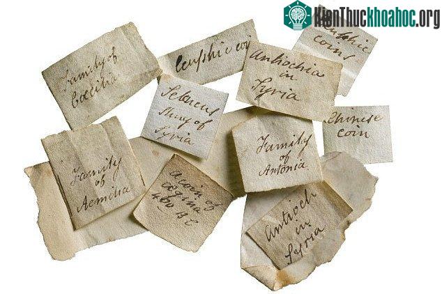 Hai cha con Hussey có niềm đam mê rất lớn đối với các đồng xu cổ. (Ảnh: Museum of London Archaeology).