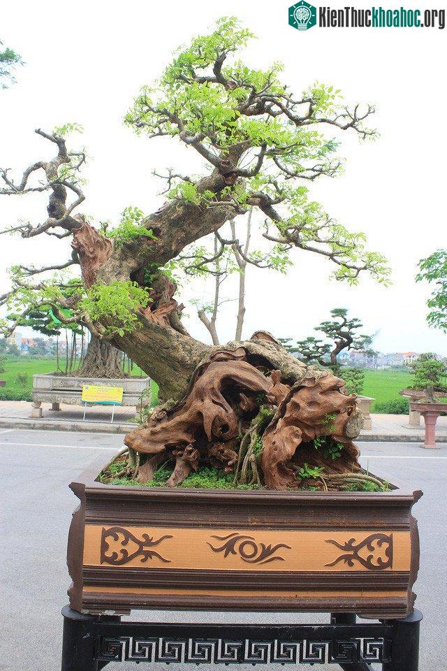 Tác phẩm