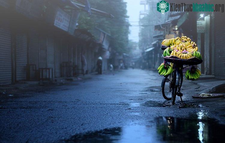 Hà Nội mùa này cũng có những cơn mưa làm buồn thêm cảnh vật.