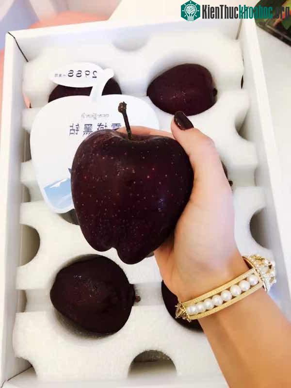 Táo có giá khá đắt đỏ.