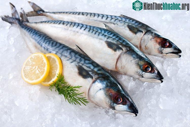 Cá đông lạnh thường chứa nhiều chất bảo quản và không tốt cho sức khỏe.