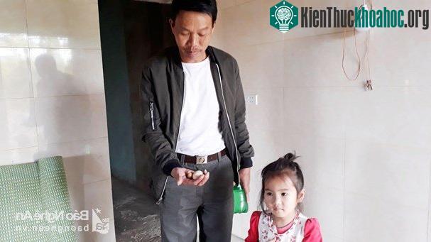 Ông Nguyễn Xuân Triều và 2 quả trứng nhỏ xíu. Ông cho rằng đó là trứng gà trống. (Ảnh: Hữu Vi).
