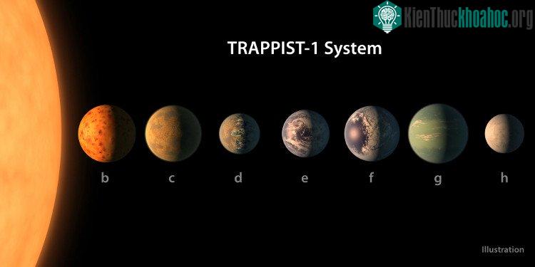 Mô phỏng hệ hành tinh Trappist-1 với 7 hành tinh được ký hiệu từ b đến h. (Đồ họa: NASA/JPL-Caltech).