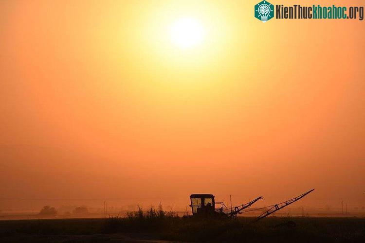 Quang cảnh một cánh đồng trong nắng gắt ở gần Bakersfield, bang California, Mỹ ngày 24/8/2016. (Ảnh: AFP/TTXVN).