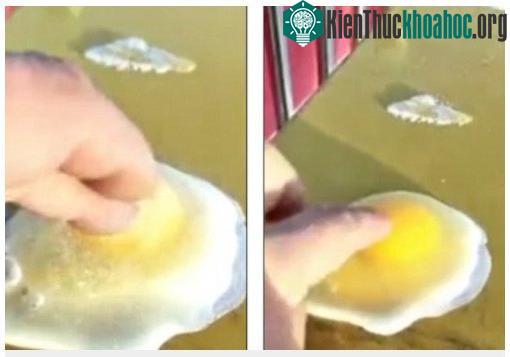 Hình ảnh xuất hiện trong đoạn video. (Ảnh: Daily Mail).