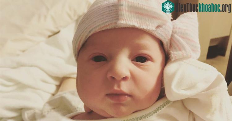 Cô bé Emma Wren. (Ảnh: WTOL11).