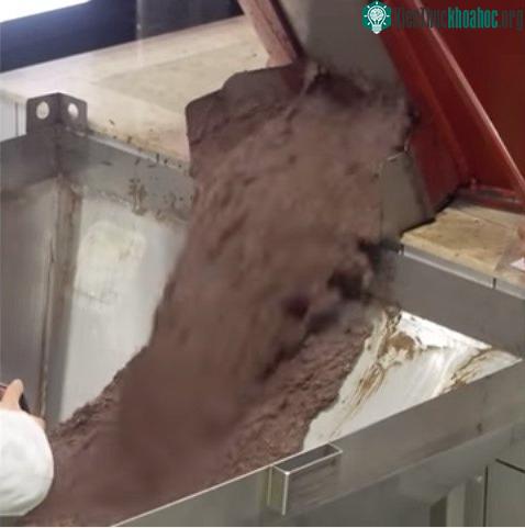 Dầu olive được tạo ra từ hỗn hợp này, bạn tin không?