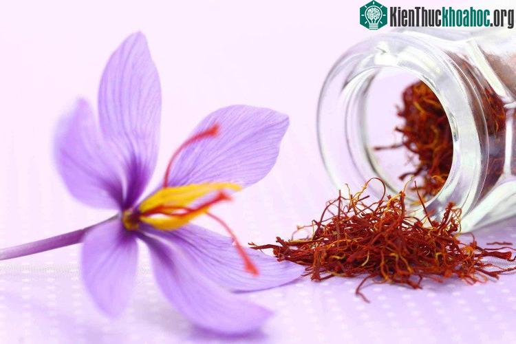 Saffron là tên gọi của một loại gia vị được sản xuất từ nhụy hoa nghệ tây.