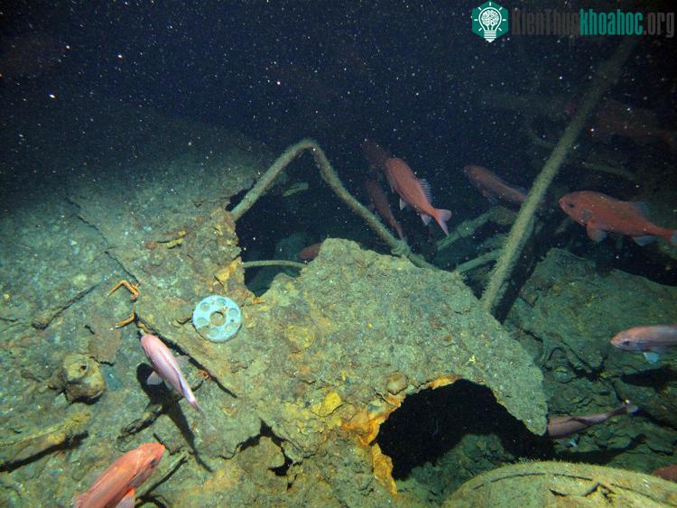 Tàn tích tàu ngầm HMAS AE1 của Úc bị chìm ngoài khơi quần đảo Papua New Guinea, New Britain. (Ảnh: AP).