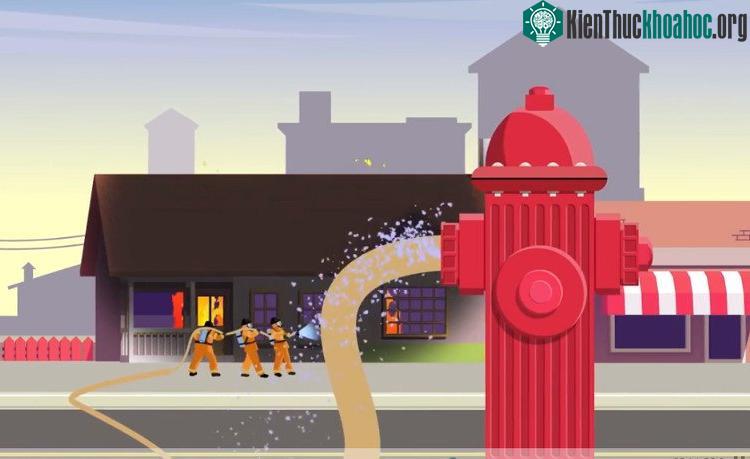 Mỗi màu sắc thường đại diện cho khả năng cấp nước khác nhau.