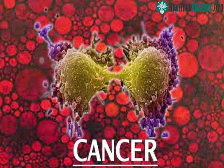 Acetaldehyde có thể phá vỡ và phá hủy cấu trúc DNA trong tế bào máu gốc. (Ảnh: Conscious Life News).