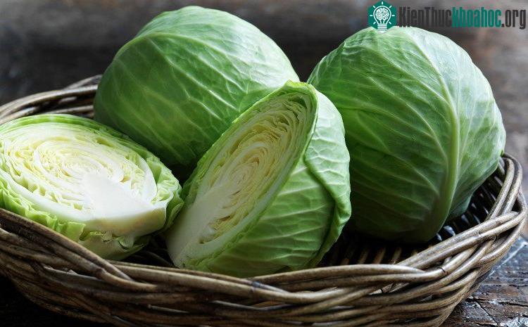 Lượng vitamin trong bắp cải cao hơn nhiều loại rau củ khác.
