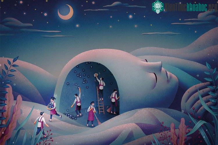 Giấc ngủ giúp cơ thể phục hồi sau một ngày hoạt động.