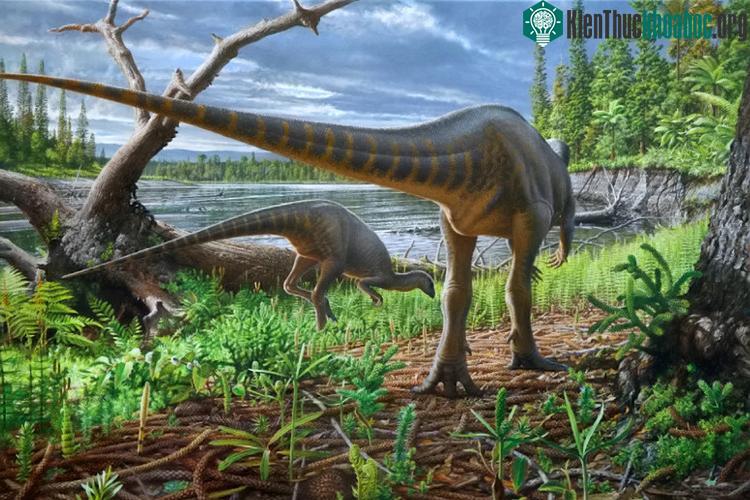 Hình ảnh mô phỏng loài Diluvicursor pickeringi tìm kiếm thức ăn ở bờ sông tại thung lũng tách giãn Australia-Nam Cực. (Ảnh: Peter Trusler).